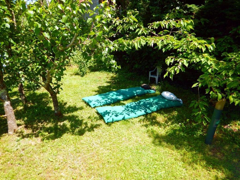 80 M2 Independant 4 Personnes Direct Gare Ou Aeroport Jardin Piscine Apartment Toulouse Exterior foto
